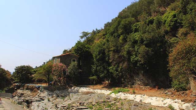 Vernazza